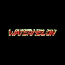 Watermeloncoin cryptocurrency logo