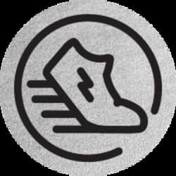 STEPN Green Satoshi Token on Solana logo
