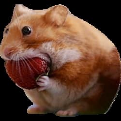 nomnom cryptocurrency logo