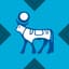 Novo Nordisk xStock