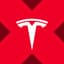 Tesla xStock