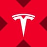 Tesla xStock