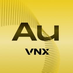 VNX Gold cryptocurrency logo