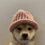 dogwifhat
