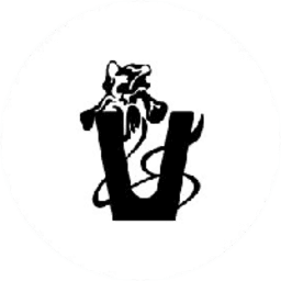Vana cryptocurrency logo