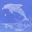 Dolphin cryptocurrency logo