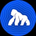 ApeCoin logo